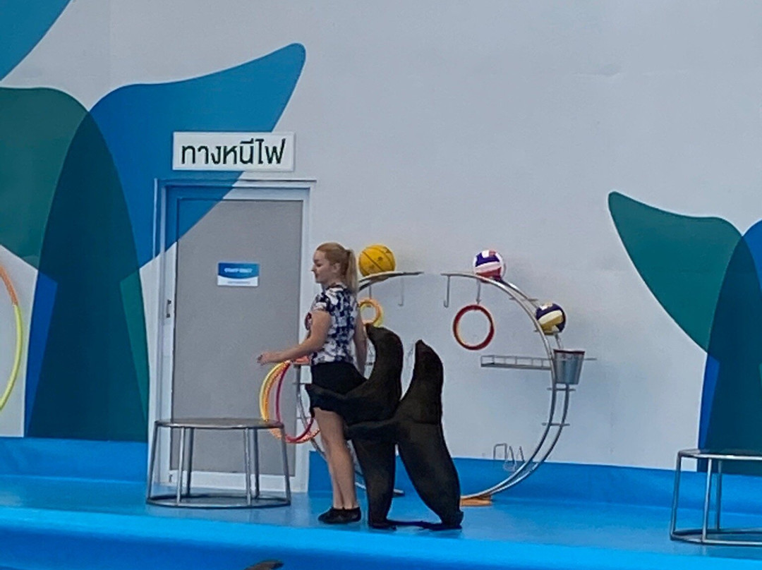 Pattaya Dolphinarium景点图片