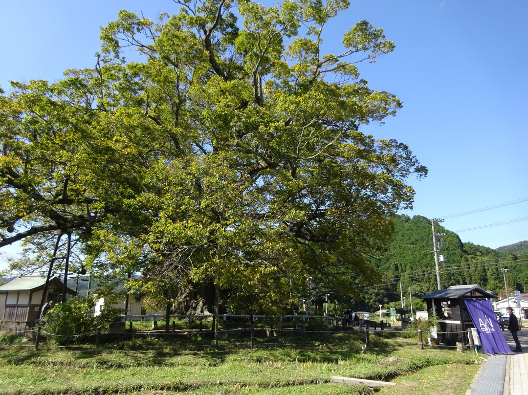 Nomano Okeyaki-能势町必去景点