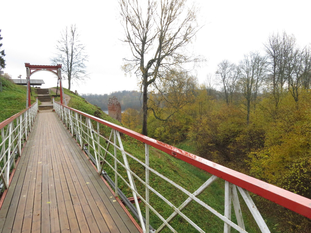 Viljandi Rope Bridge-维尔扬迪必去景点