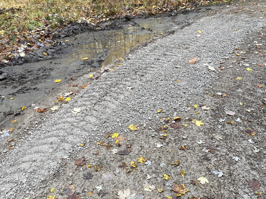 Gully Brook Park景点图片