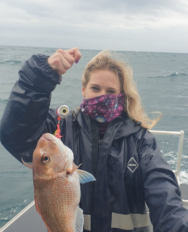 Northside Adventures-奥克兰中心地区必去景点