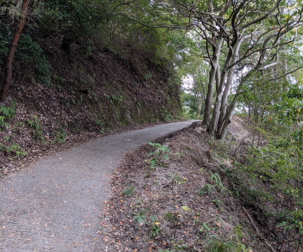 Hoshi no Buranko Bridge-交野市必去景点