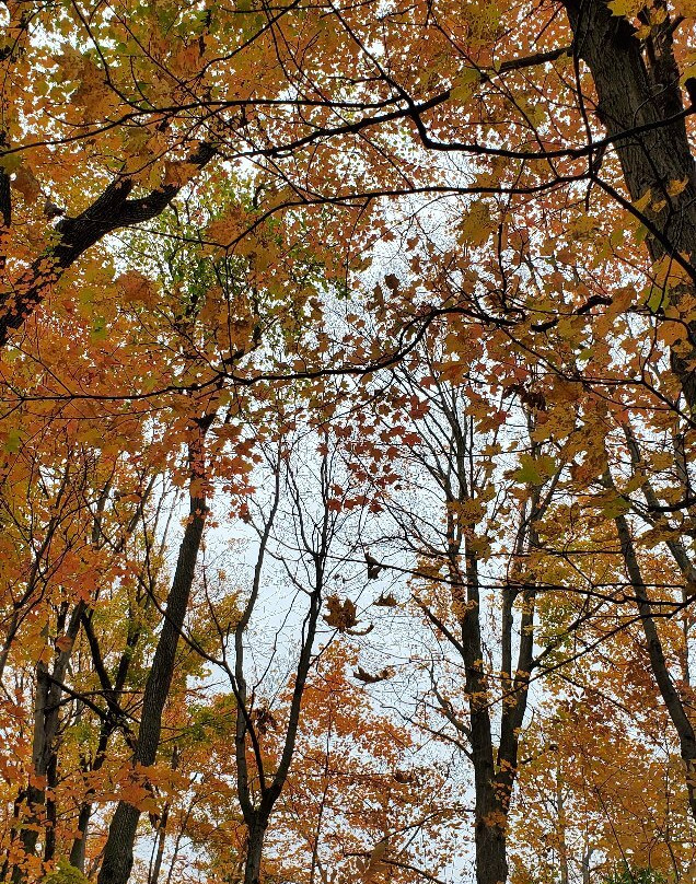 Devil's Punchbowl Conservation Area-Stoney Creek必去景点