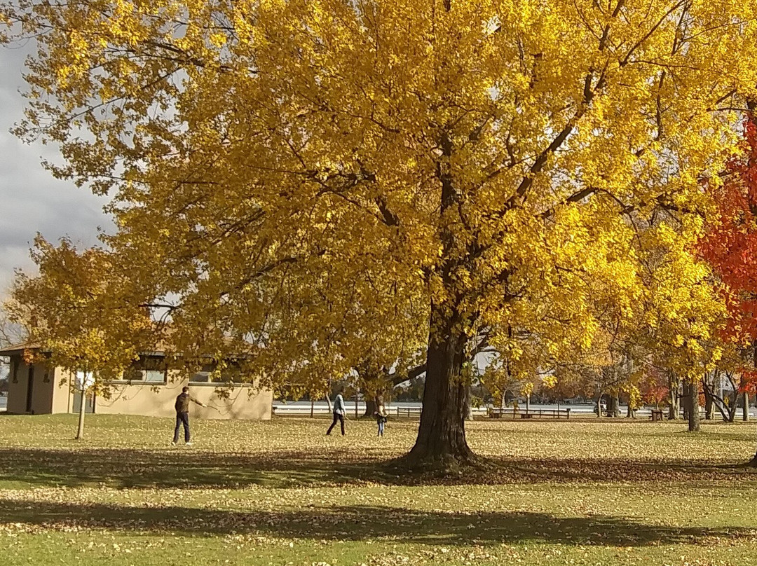 Algonac State Park-Marine City必去景点