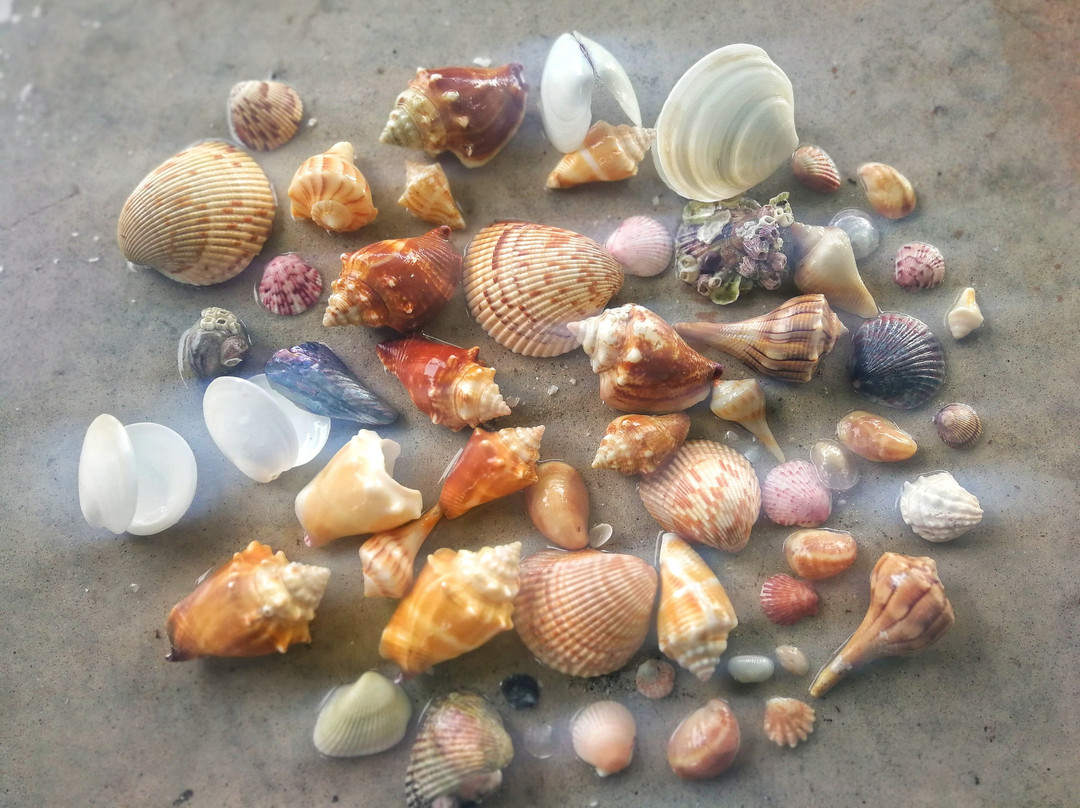 Anchor Inn & Cottages主图