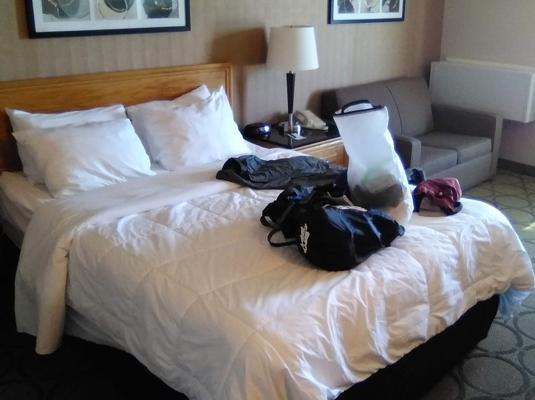 Comfort Inn Baie-Comeau主图