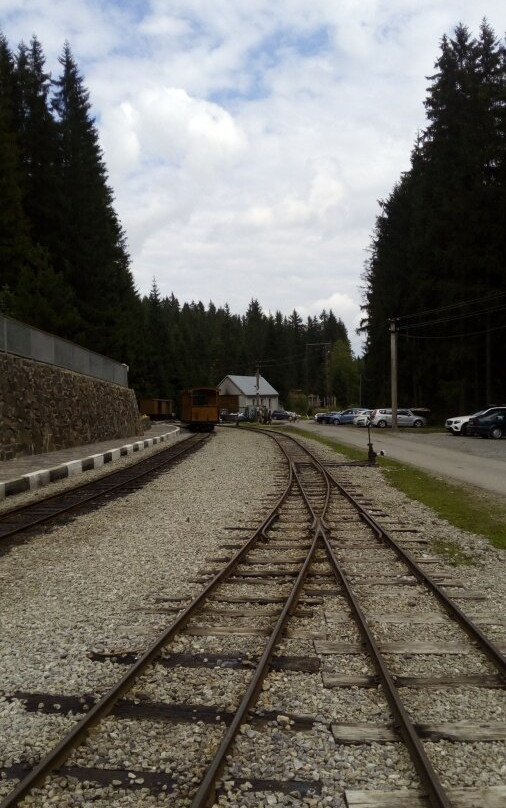 Orava Forest Railway-Oravska Lesna必去景点