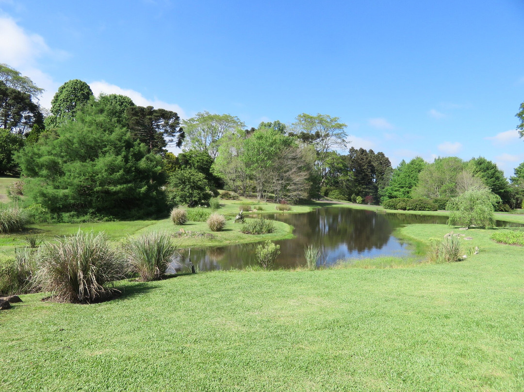 Jardim Botânico de Faxinal do Céu景点图片