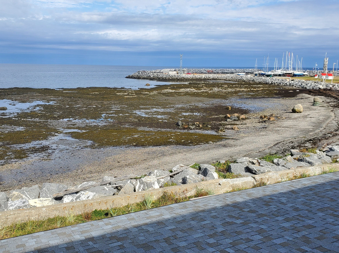 Auberge du Vieux Faubourg主图