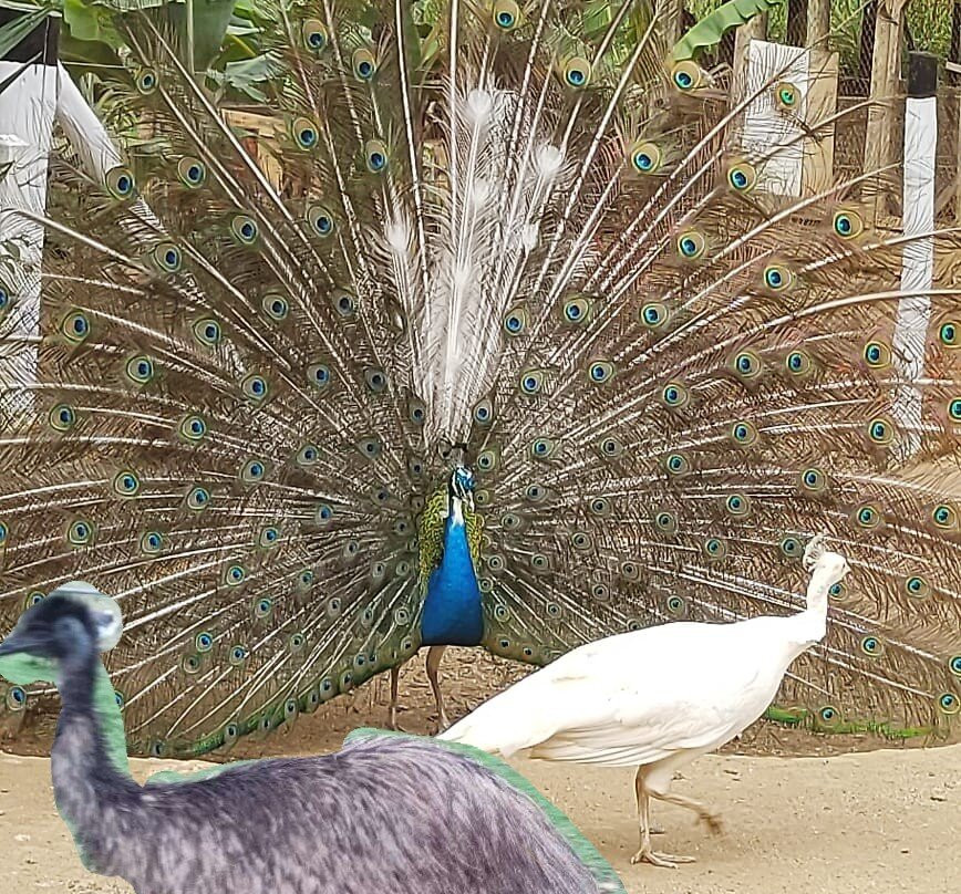 Pousada Fim da Picada主图