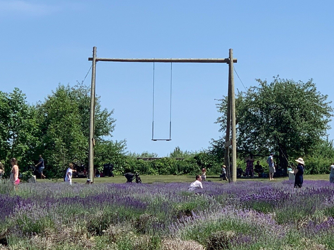 La Maison Lavande-Saint-Eustache必去景点