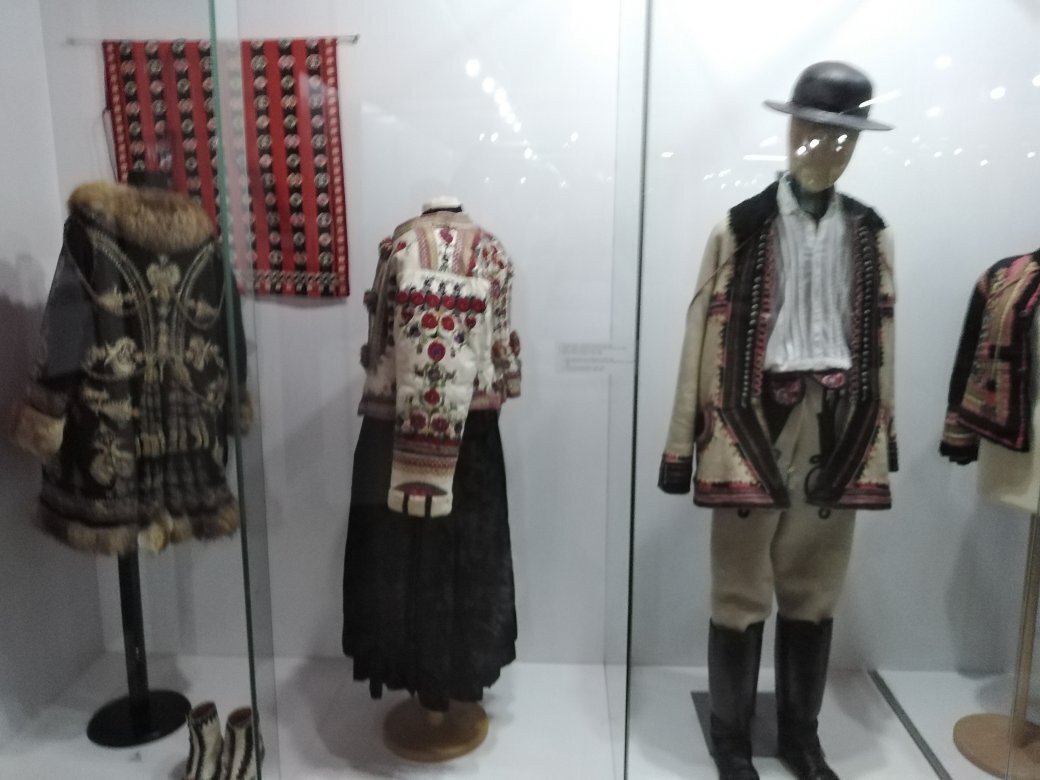 Museum of Vojvodina景点图片