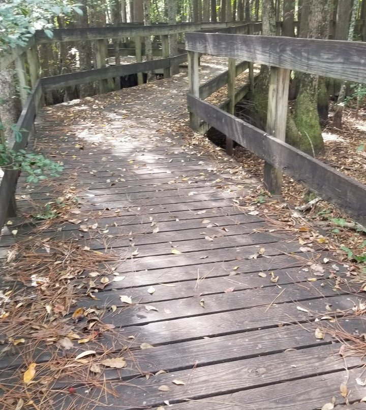 George L. Smith Park-Twin City必去景点