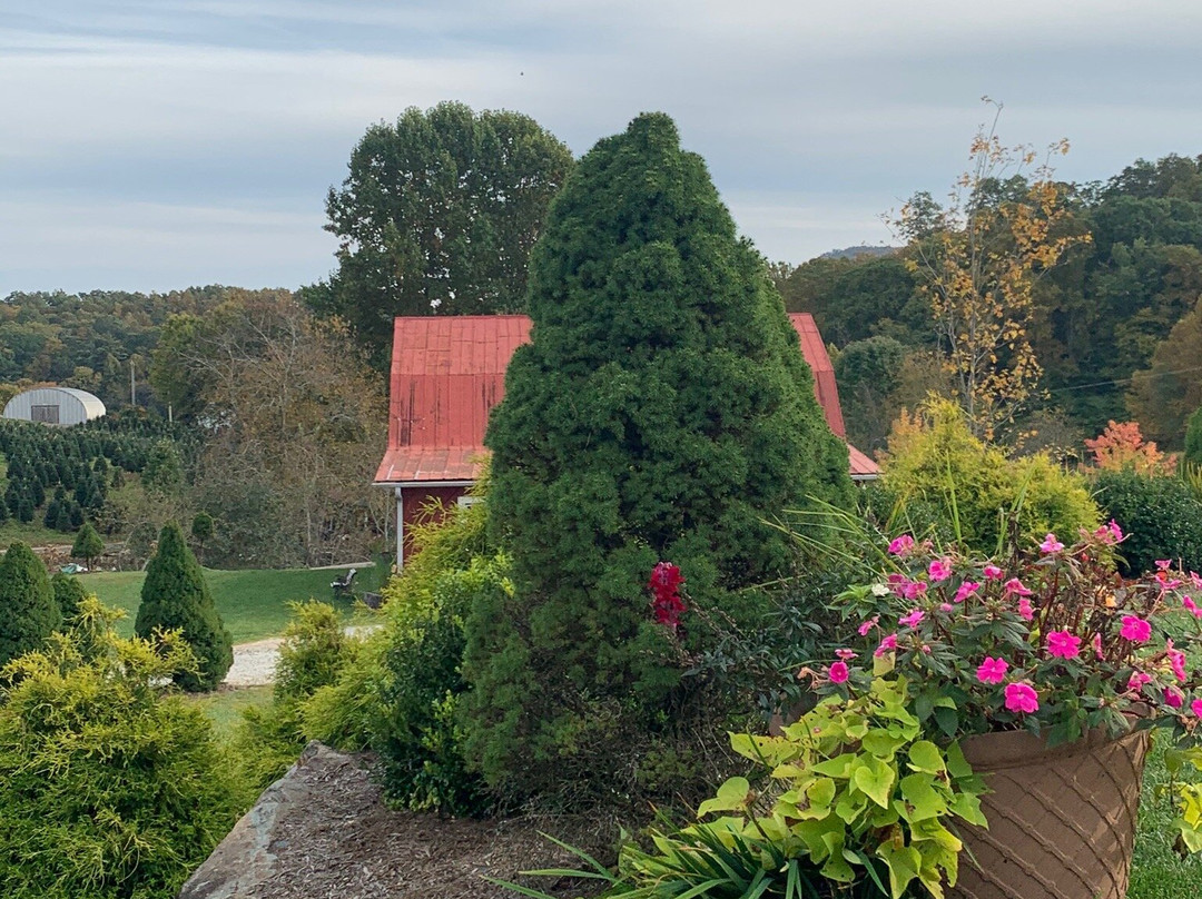 Linville Falls Winery景点图片