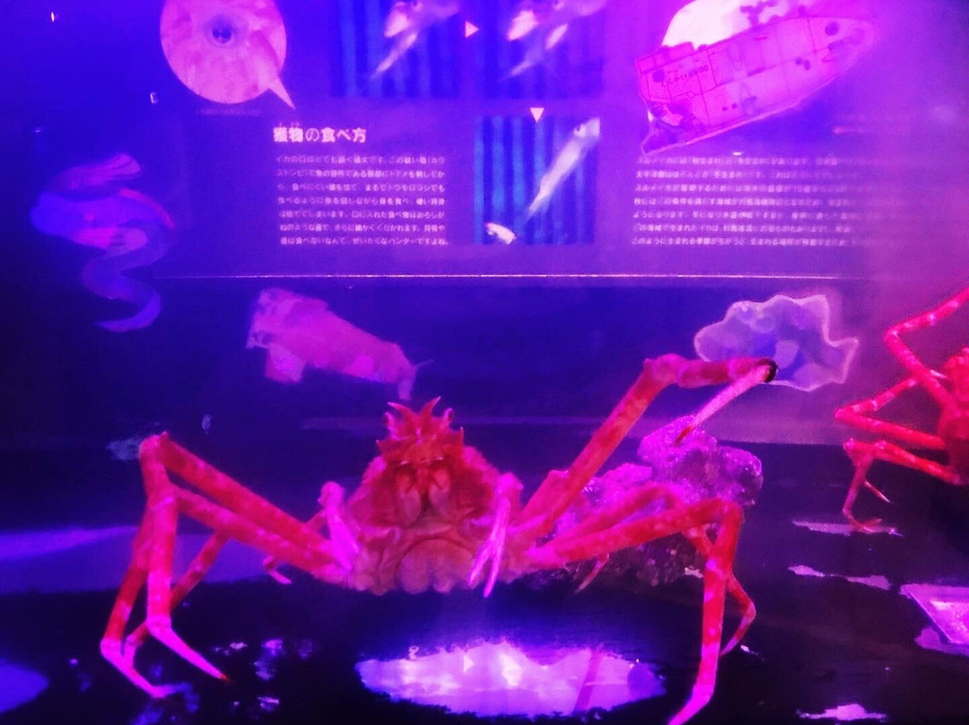 Marient-八户市必去景点