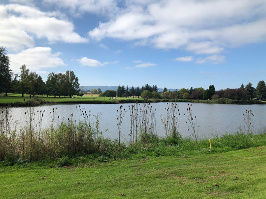 Sandpines Golf Links-弗洛伦斯必去景点