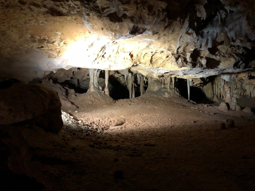 Victoria Fossil Cave-Naracoorte必去景点