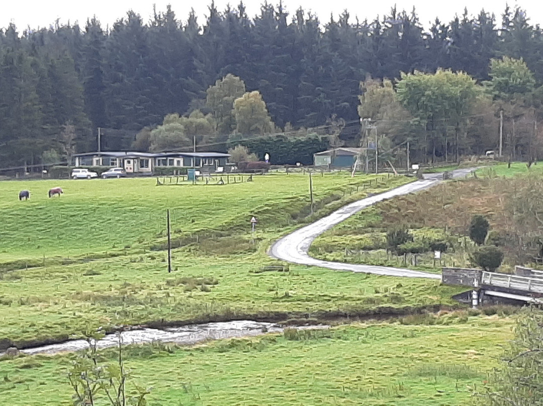 Hafren Forest Hideaway