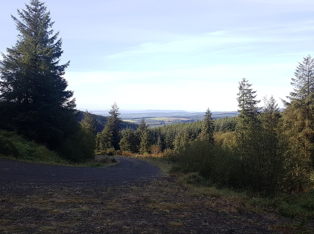 Slieve Bloom Mountains景点图片