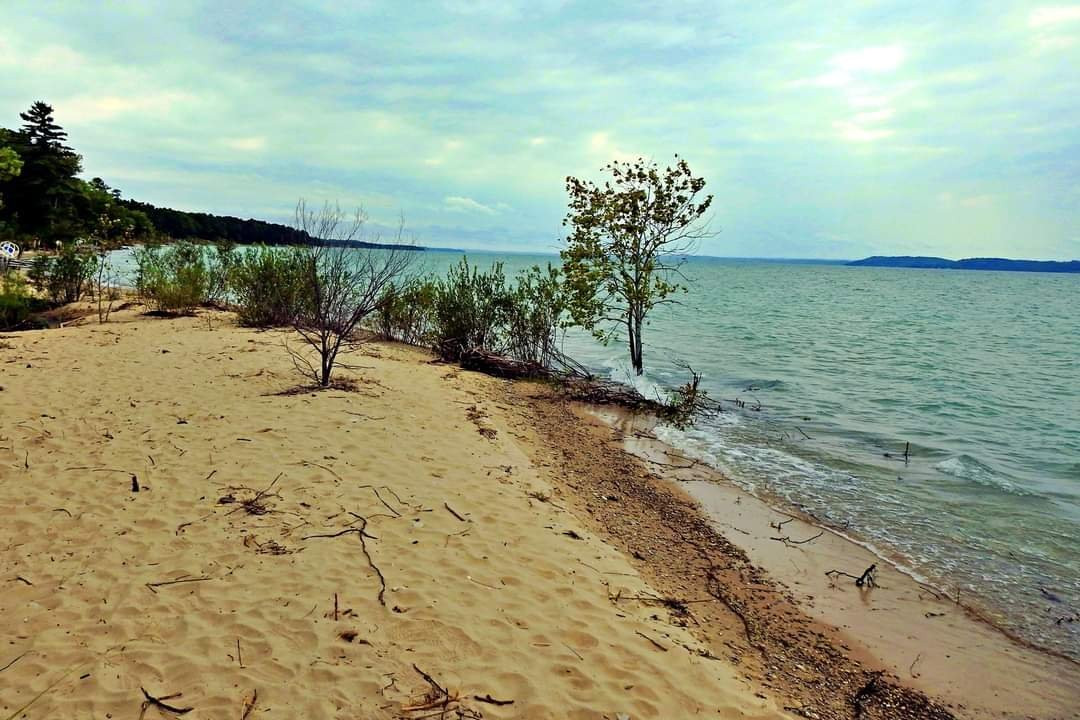 Walk Of Art At The Elk Rapids Day Park景点图片