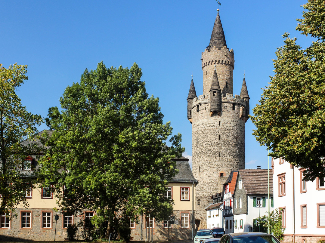 Friedberg Castle景点图片