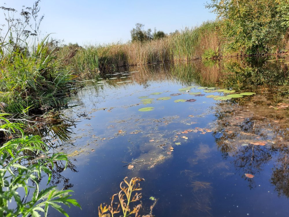 National Park De Alde Faenen景点图片
