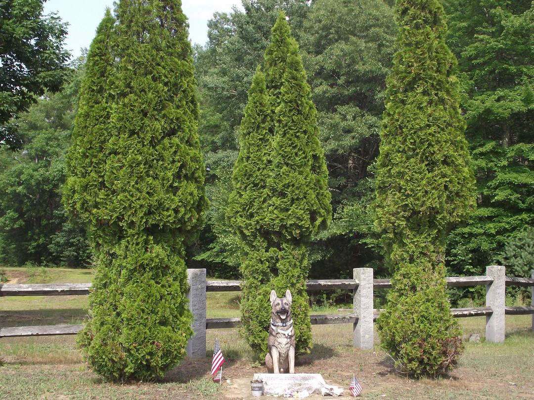 War Dog Memorial景点图片