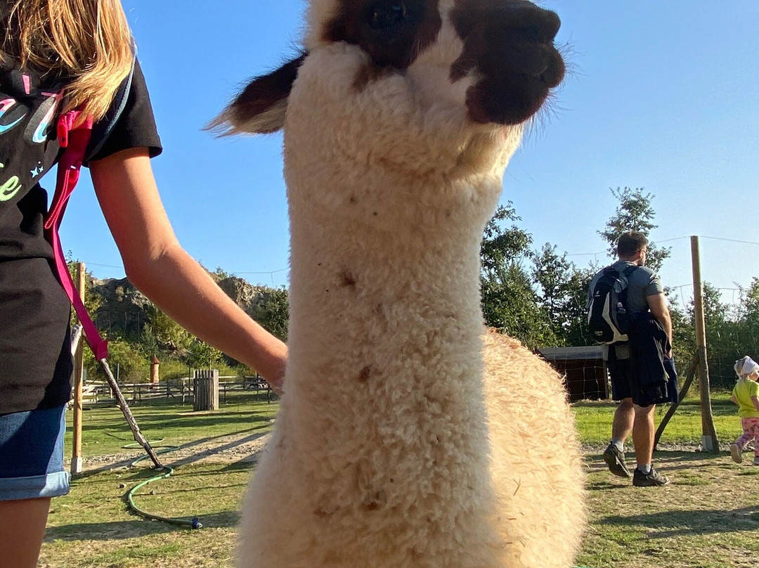 Lamacentrum Hady-布尔诺必去景点