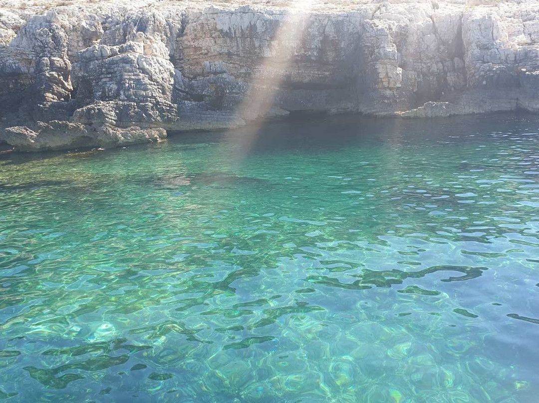 Brijuni Excursions-普拉必去景点