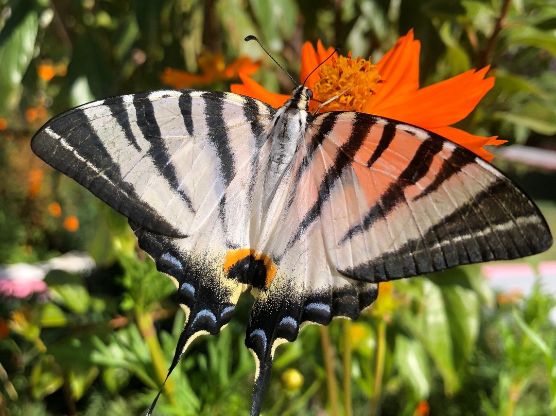 Hotel Dimitra Sun主图