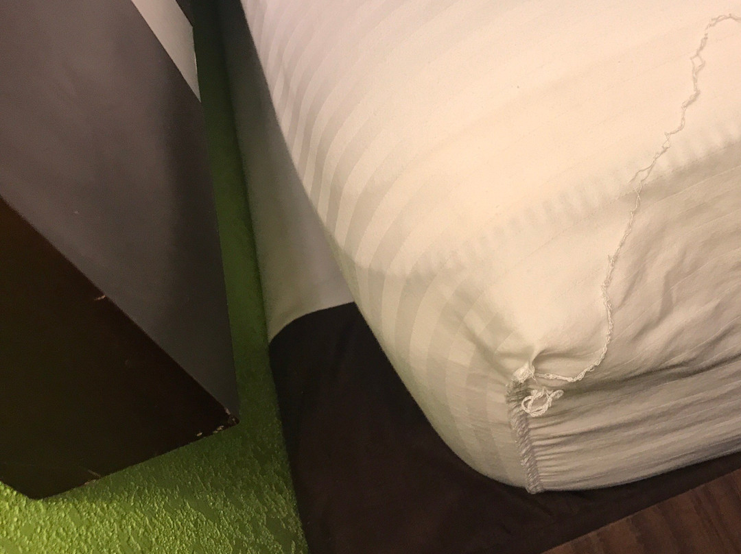 Best Western Lake Cumberland Inn主图