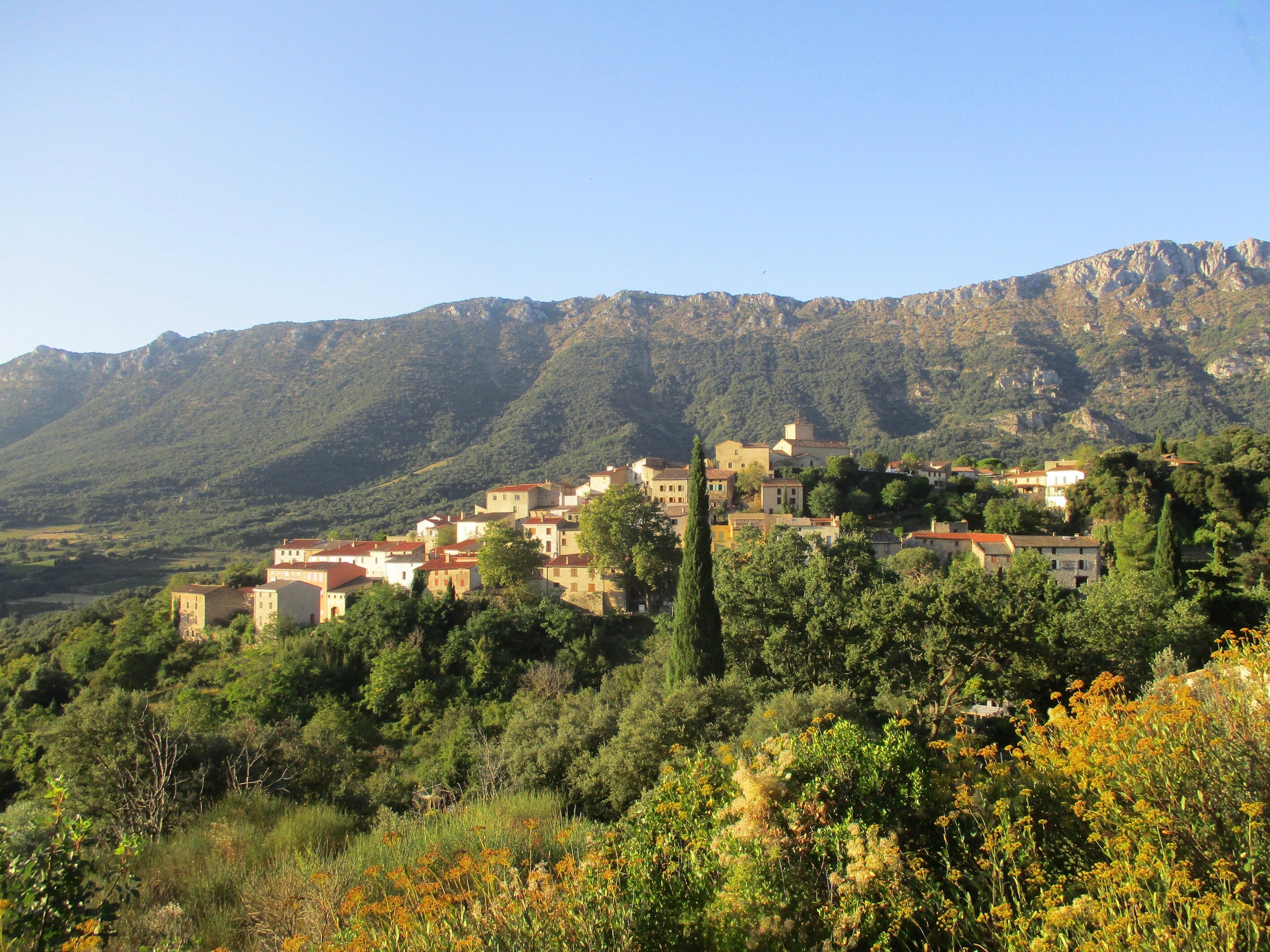 Hostellerie du Vieux Moulin-官方