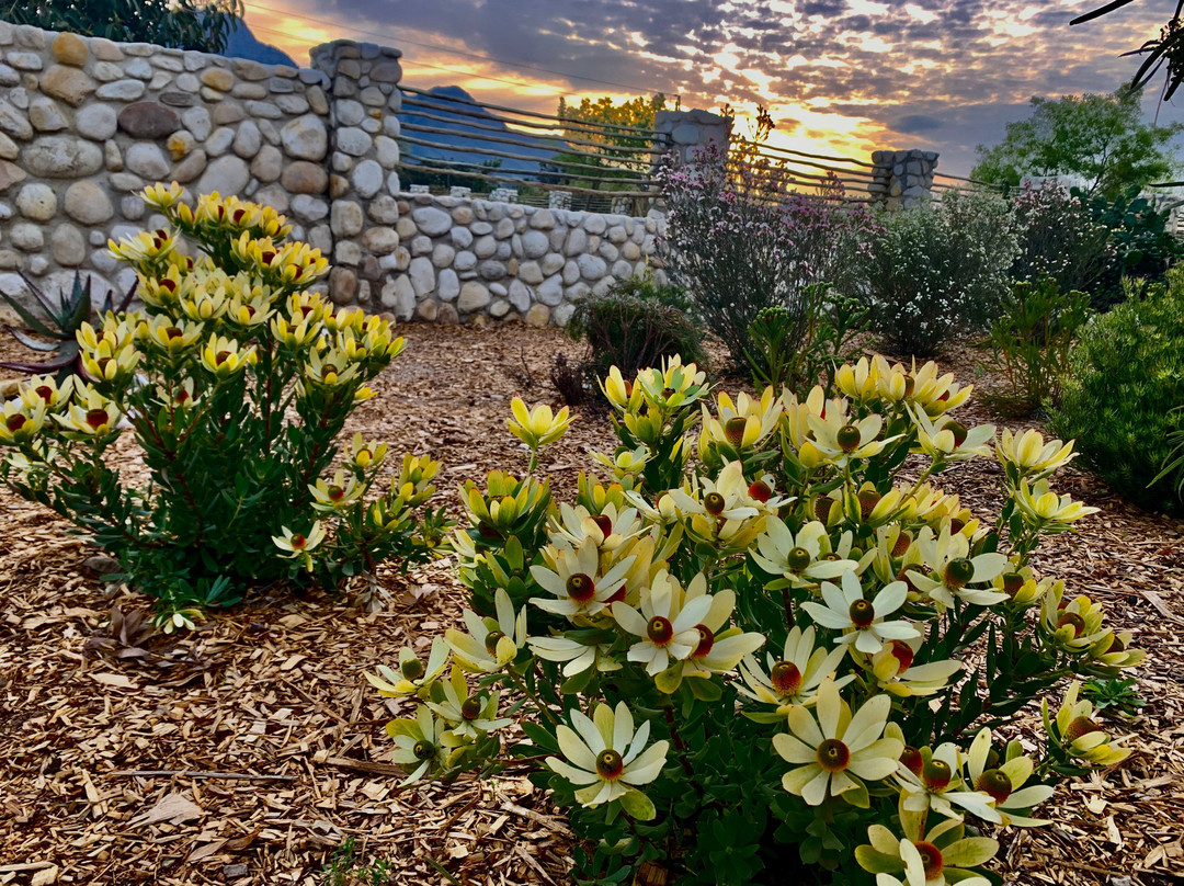 The Farmstead Franschhoek主图