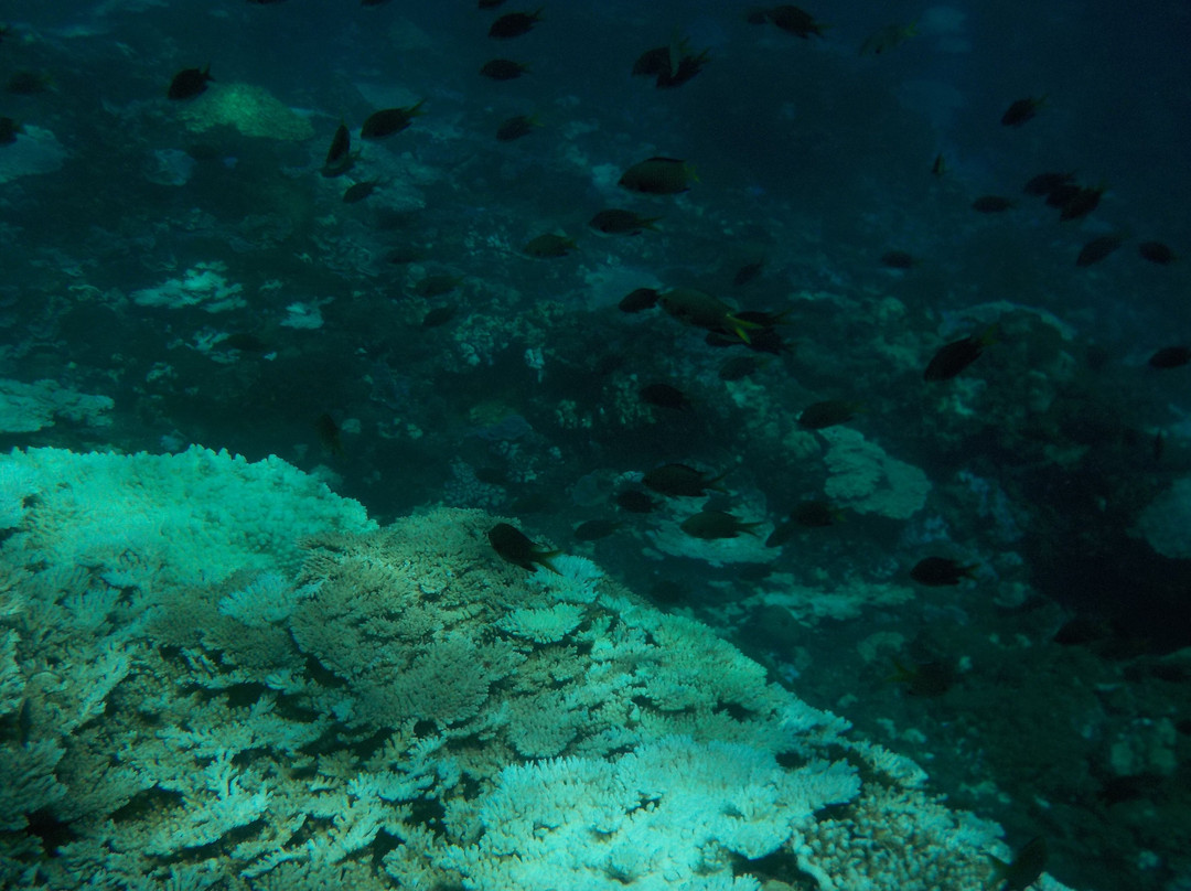 Ocean Boulevard-八丈岛必去景点