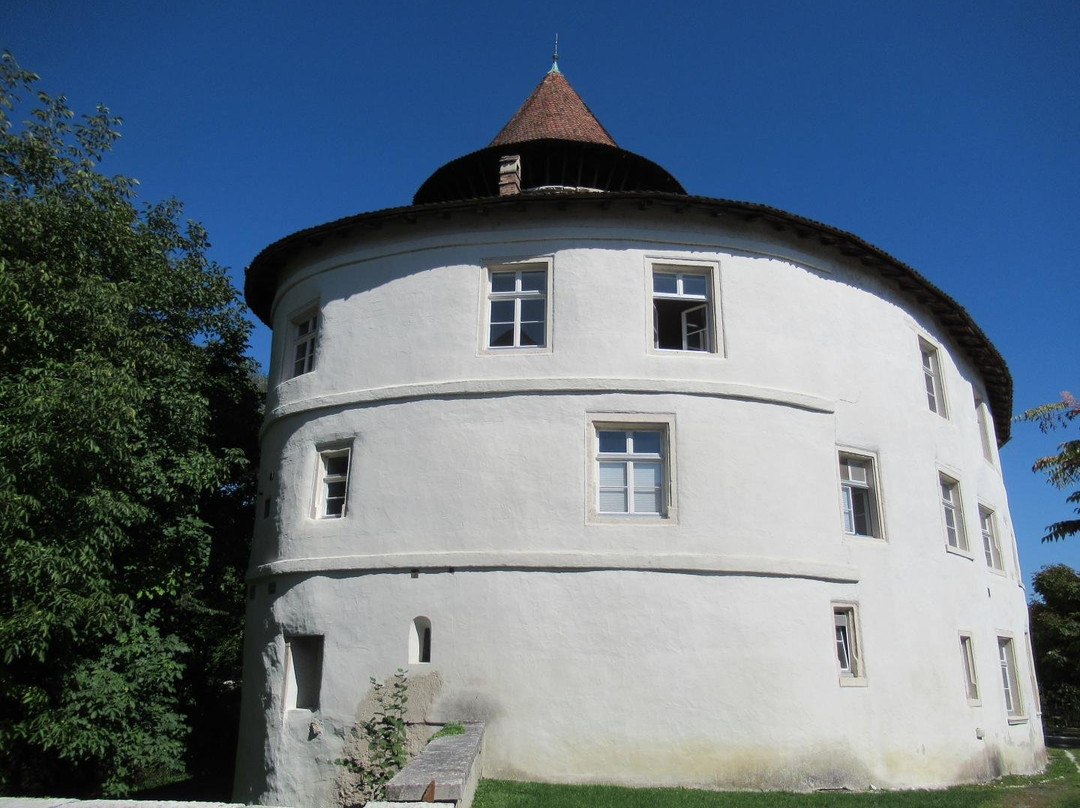 Schloss Zwingen BL