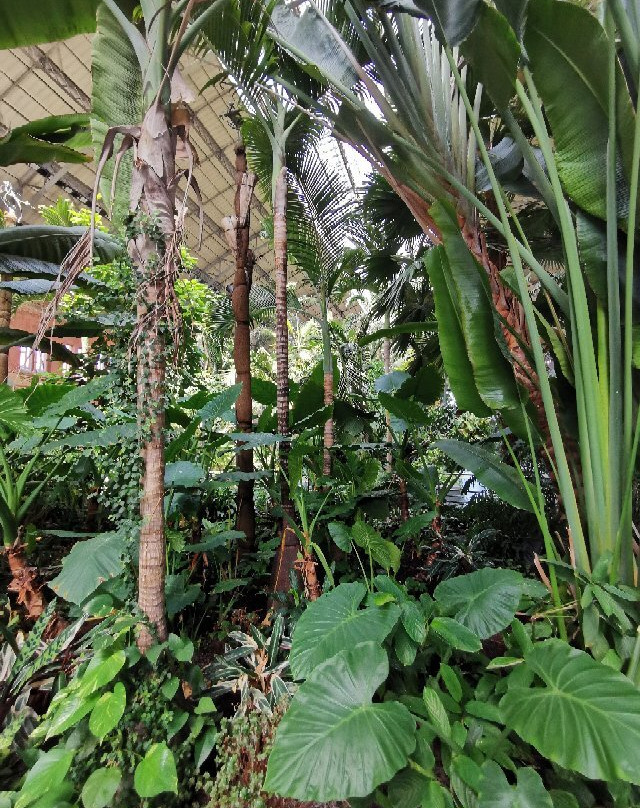 Jardin Botanico de Torretes景点图片