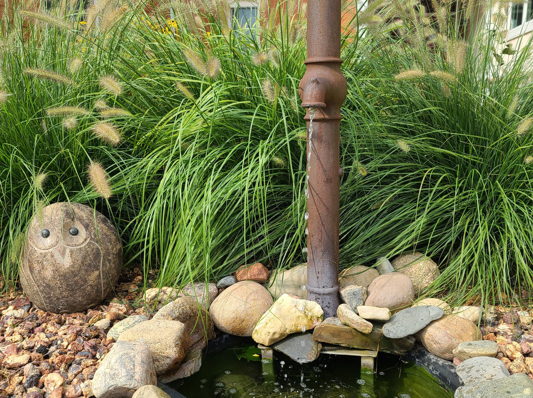 Harvest Bed and Breakfast主图