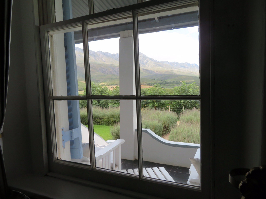 Elgin Africa-Elgin必去景点