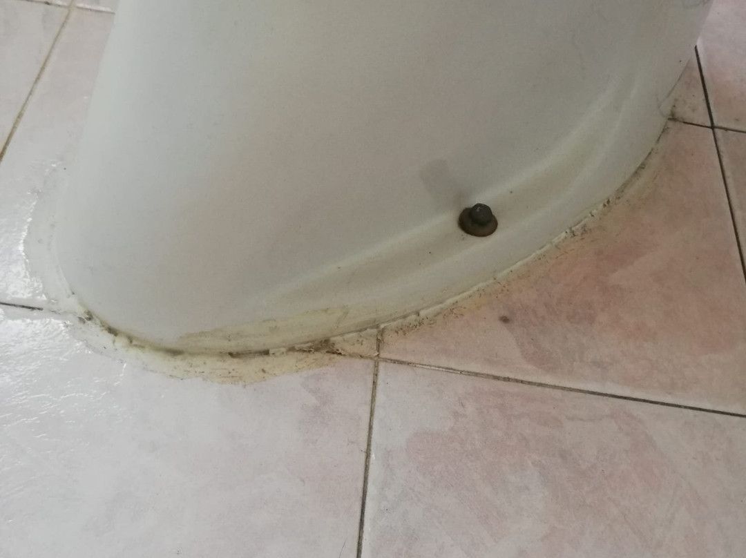 Cerullo's Paestum主图