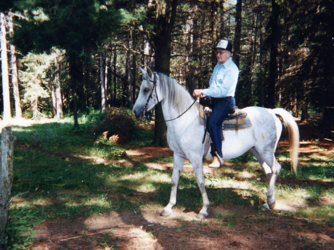 Stewart Coughlin Riding Ranch景点图片