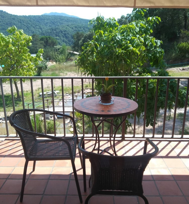 Hostal La Guineu主图