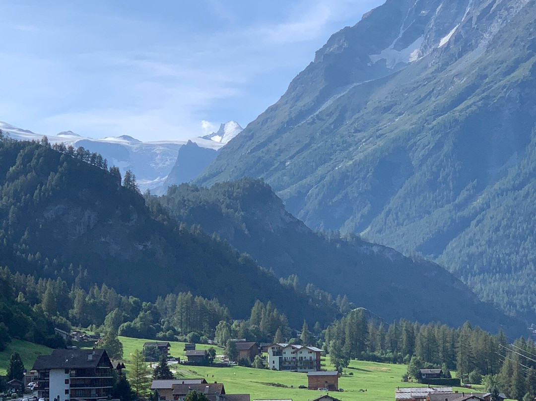 Hôtel-Restaurant Le Berger Blanc主图