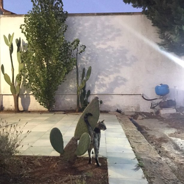 B&B Villa Marciante-官方