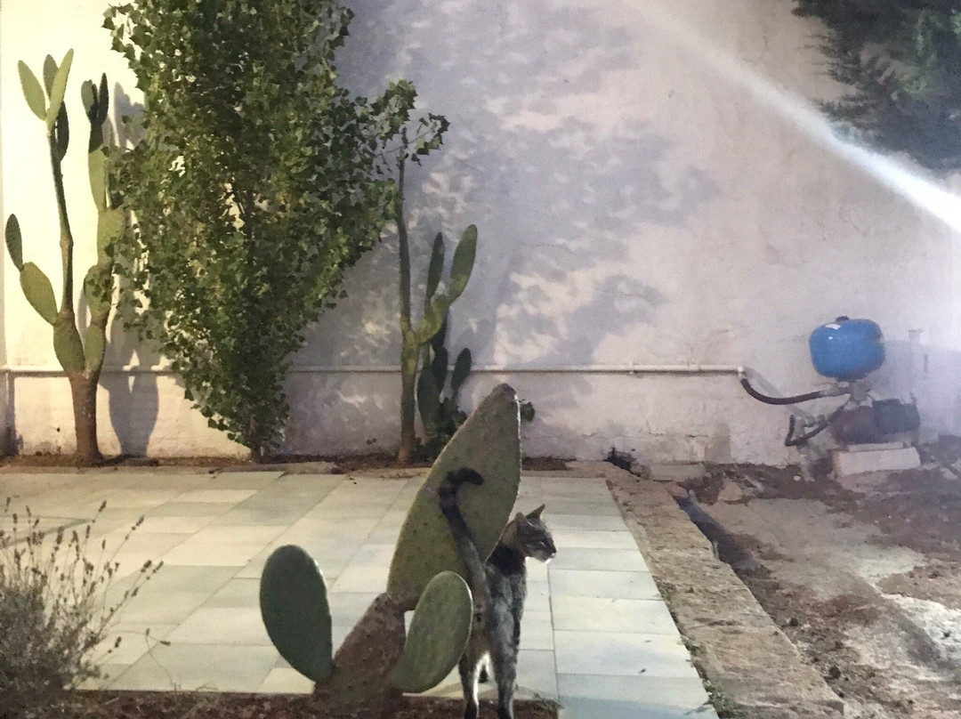 B&B Villa Marciante主图