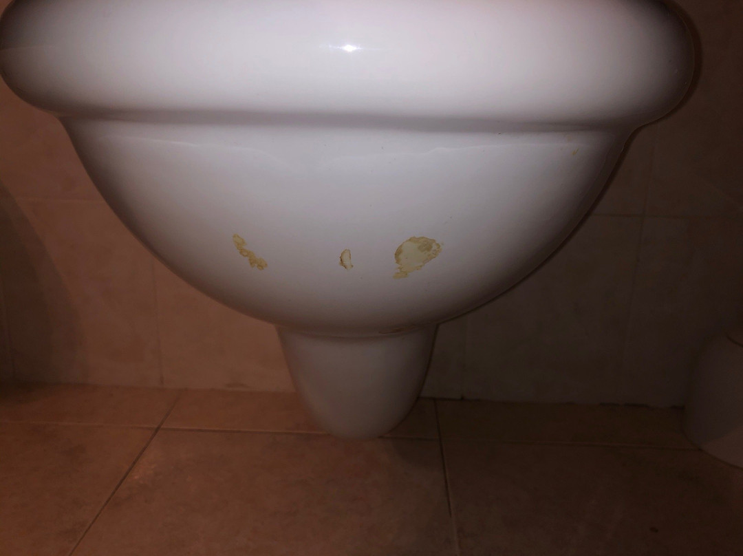 Hotel Palma Costa Gioiosa主图