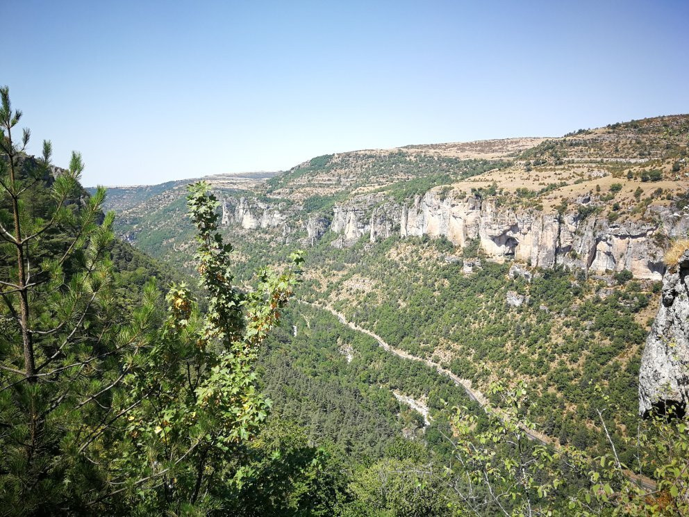 Grotte de Dargilan景点图片