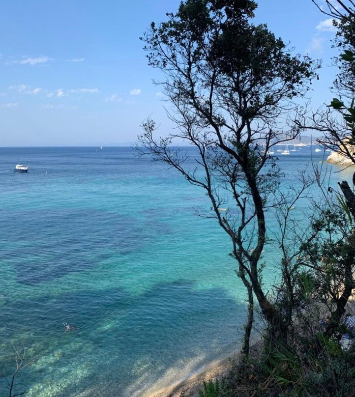 Spiaggia di Seccione景点图片