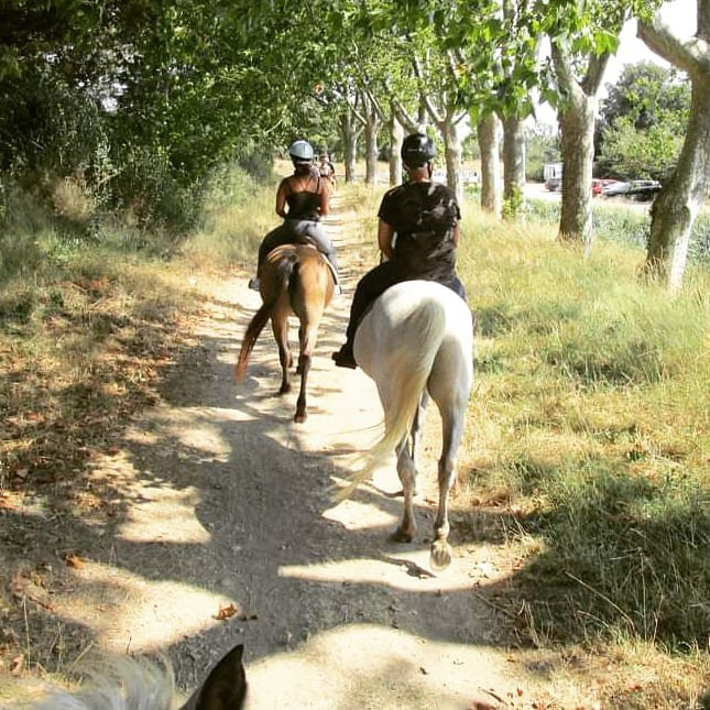 La ferme Equestre de Mirepeisset