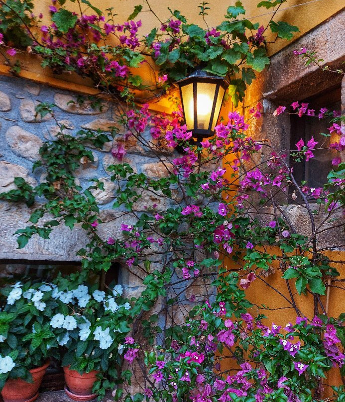 Casa de Aldea Los Campos主图