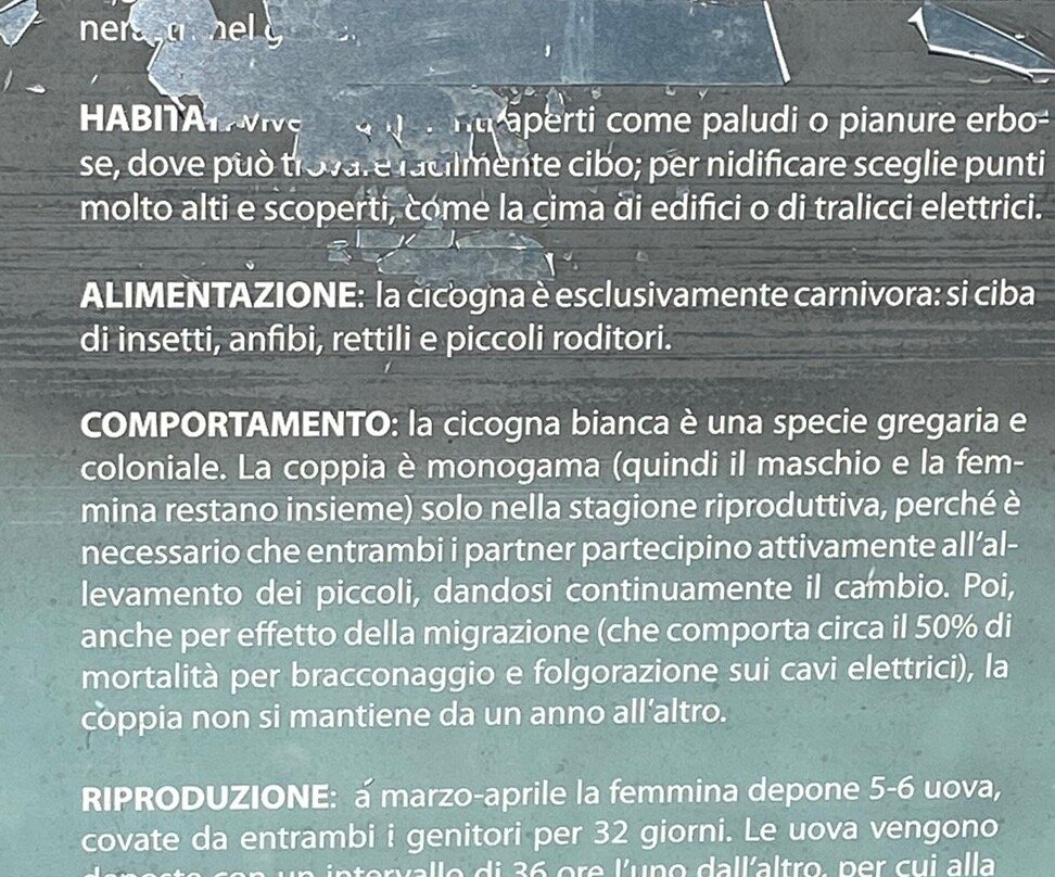 Associazione Centro Cicogne E Anatidi-Racconigi必去景点